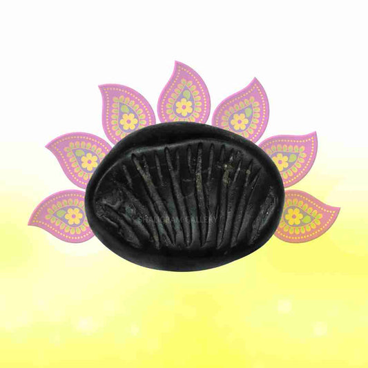 Unveiling the Path of Shaligram Formation in the Gandaki River