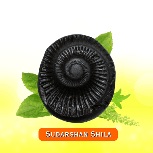 The Origin of Shaligram: A Mystical Formation in Nature