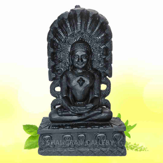 Lord Mahavir Jain Shaligram Idol SGI120