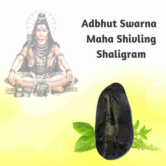 Adbhut Swarna Maha Shivling Shaligram SG22