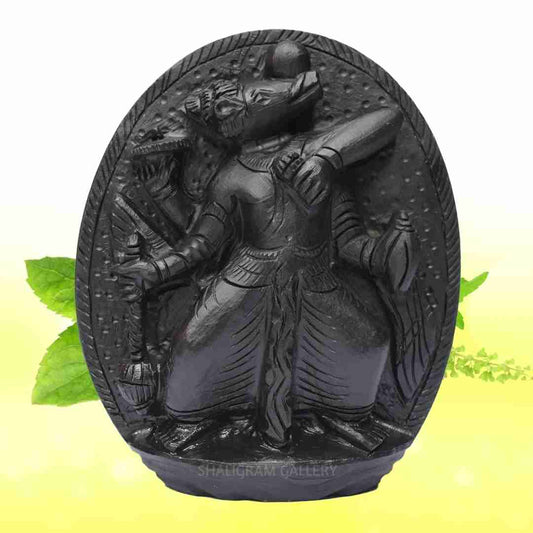 Sarvottam Varaha Shaligram Idol (Third Incarnation of Lord Vishnu) - I  SGI18