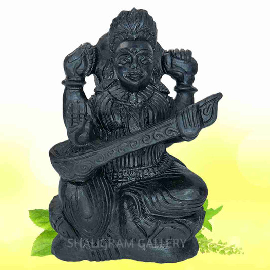Goddess Maa Saraswati Shaligram SGI109