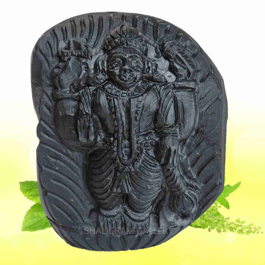 Lord Vishnu/ Narayana Shaligram Idol SGI112