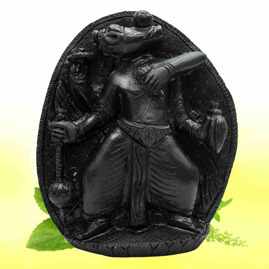 Varaha (Third Incarnation of Lord Vishnu) - Ill SGI12
