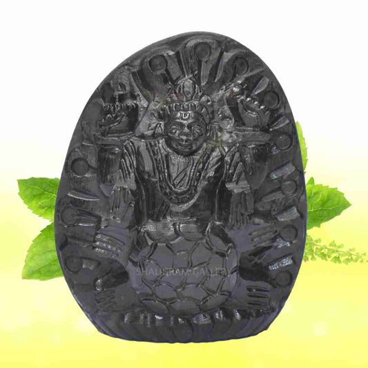 Lord Kurma Shaligram Idol