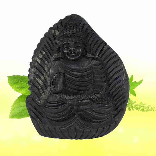Adbhut Gautam Buddha Shaligram Idol - Il