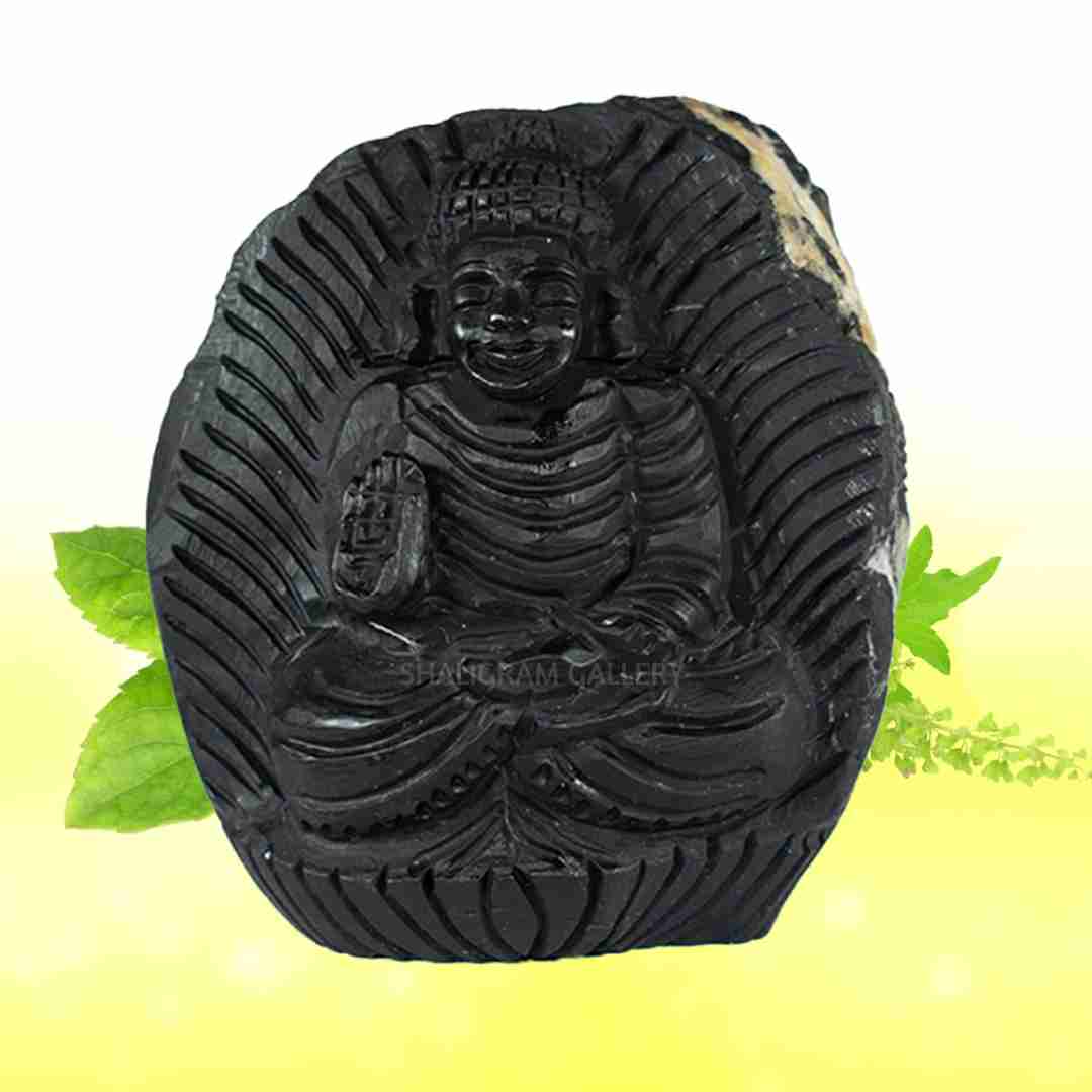 Adbhut Gautam Buddha Shaligram Idol - I