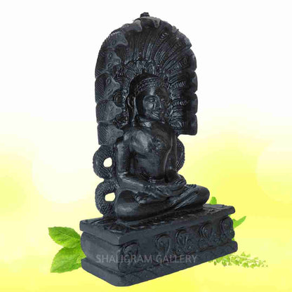 Lord Mahavir Jain Shaligram Idol SGI120