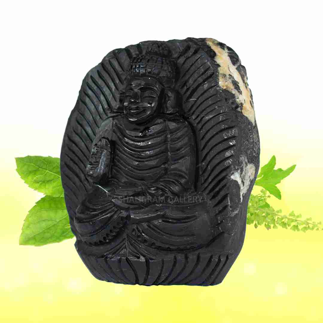 Adbhut Gautam Buddha Shaligram Idol - I