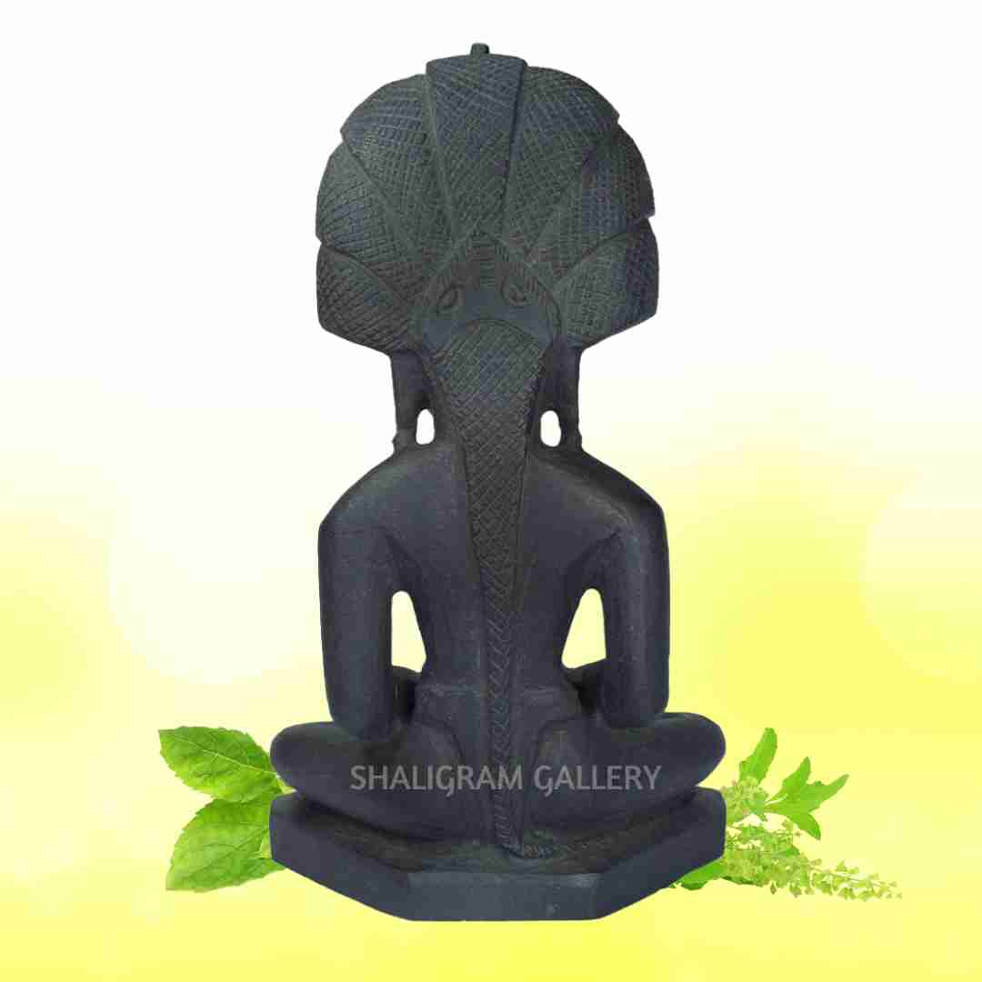 Parshwanath Bhagwan Shaligram Idol SGI72