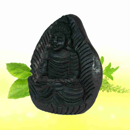 Adbhut Gautam Buddha Shaligram Idol - Il