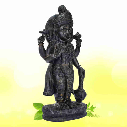 Lord Swaminarayan Shaligram Idol SGI78