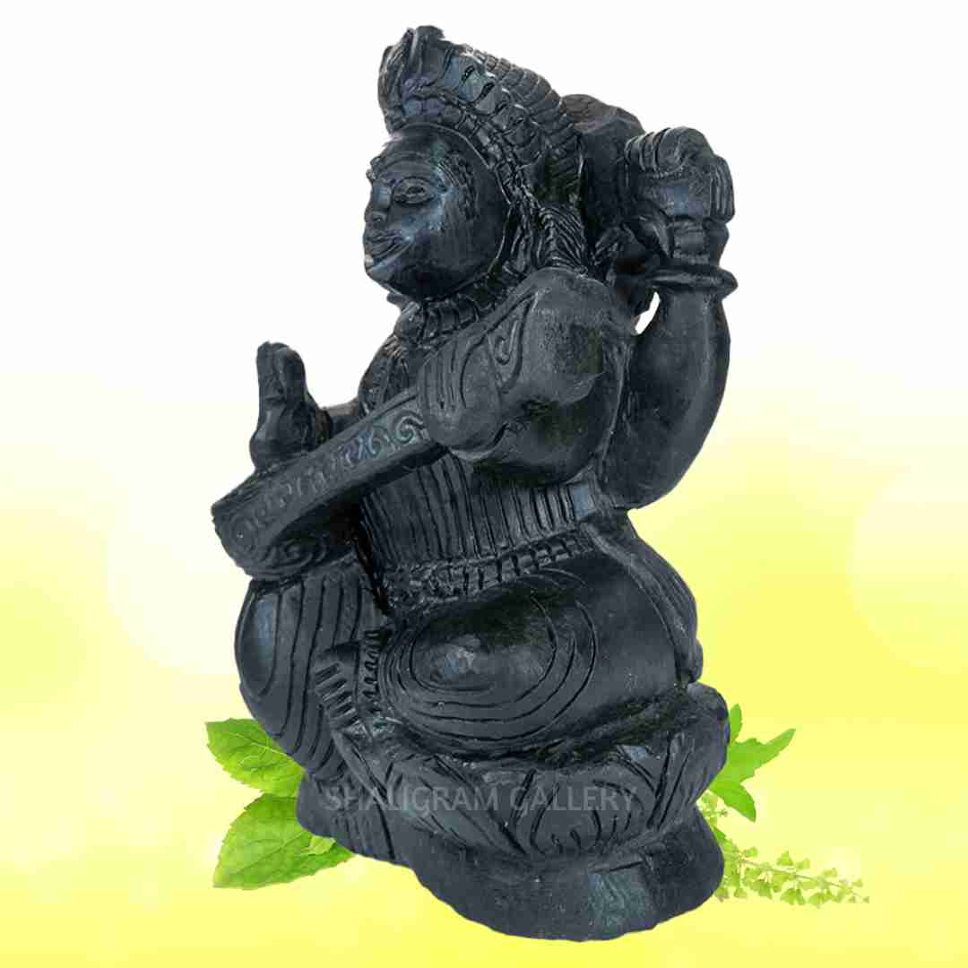 Goddess Maa Saraswati Shaligram SGI109