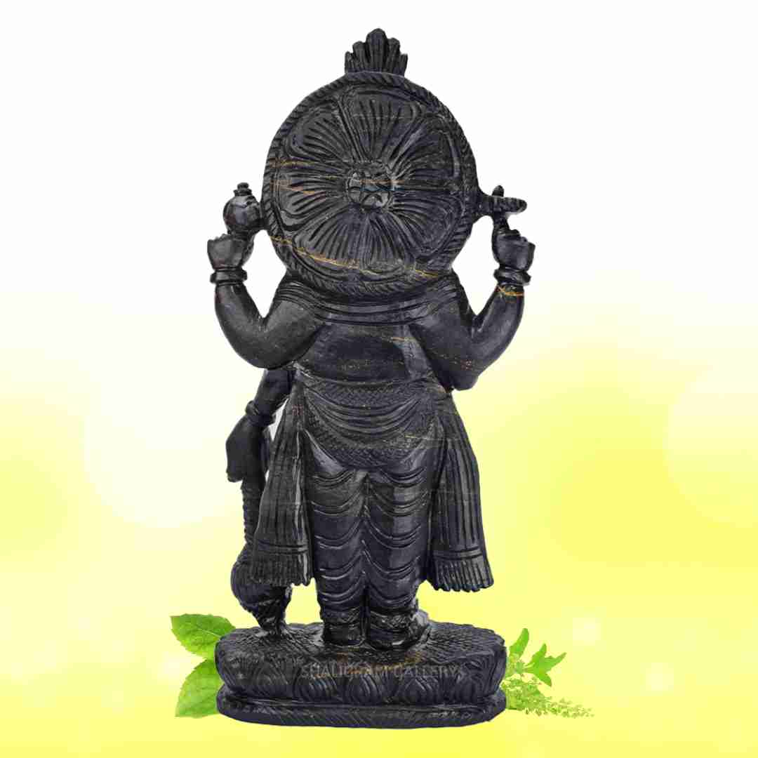 Lord Swaminarayan Shaligram Idol SGI78