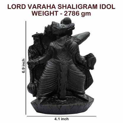 Varaha (Third Incarnation of Lord Vishnu) - IV SGI11