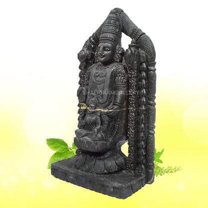 Lord Tirupati Balaji with Laxmi ji carved on Janeu Shaligram Idol - II