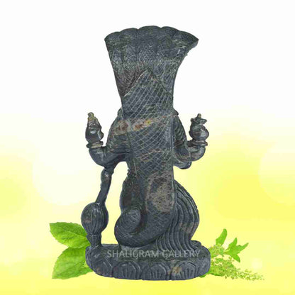 Lord Vishnu/ Narayana With Sheshnaag SGI67