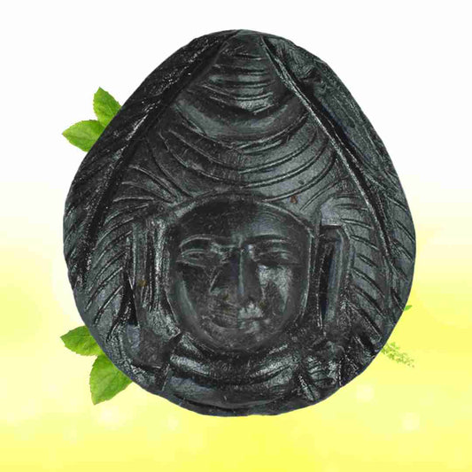 Adbhut Lord Shiva Carved on Sudarshan Shila SG92