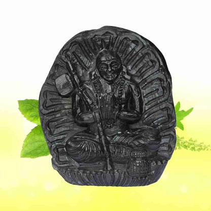 Lord Vaaman/ Vamana Shaligram Idol - Carved on Sudarshan Shaligram- I SGI17