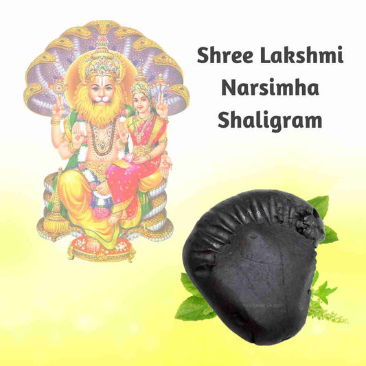 Shree Lakshmi Narsimha Shaligram