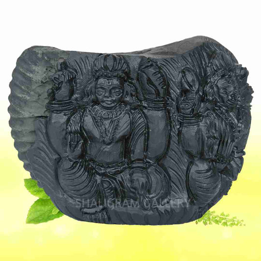 Adbhut Vishnu Laxmi Ji Shaligram Idol SGI110