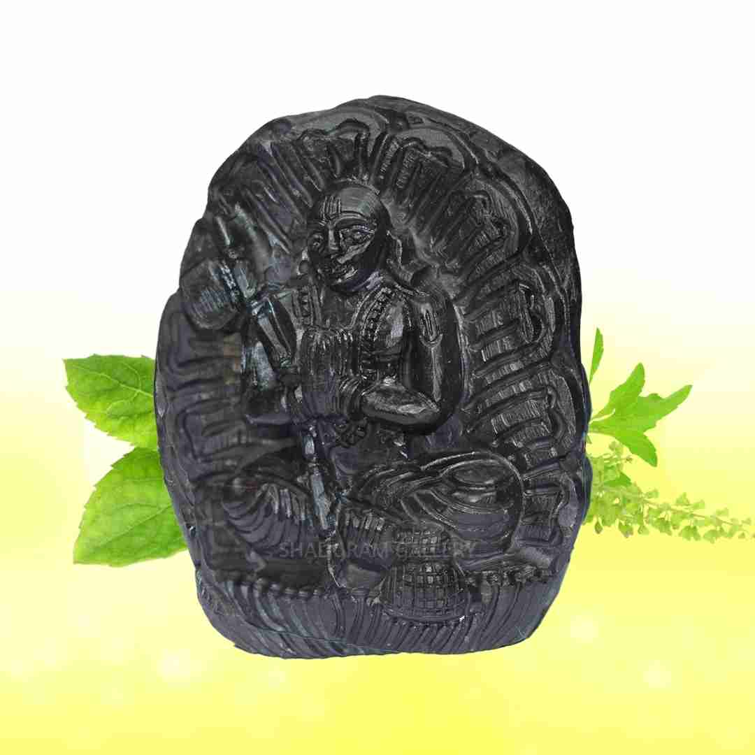 Lord Vaaman/ Vamana Shaligram Idol - Carved on Sudarshan Shaligram- I SGI17
