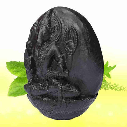 Sarvottam Lord Varaha Shaligram Idol (Third Incarnation of Lord Vishnu) - II SGI19