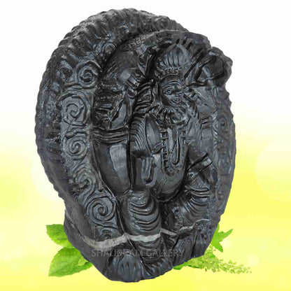 Adbhut Maha Sudarshan Lord Vishnu Shaligram Idol SGI111